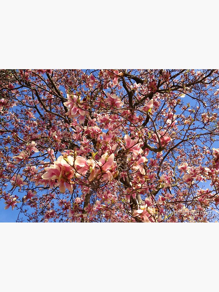Spring Tree by KatieSchutteArt