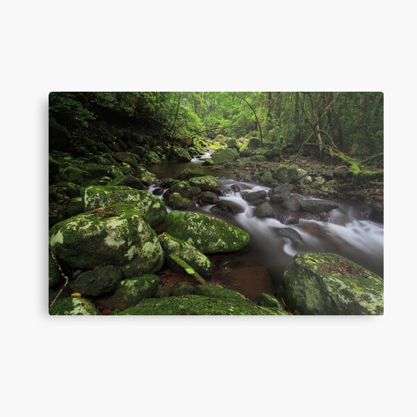 Item preview, Lamington National Park designed and sold by Donovan Wilson.