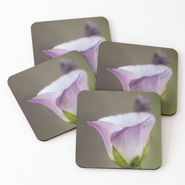 Item preview, Catalina mariposa lily (Calochortus catalinae) designed and sold by Art in Nature.
