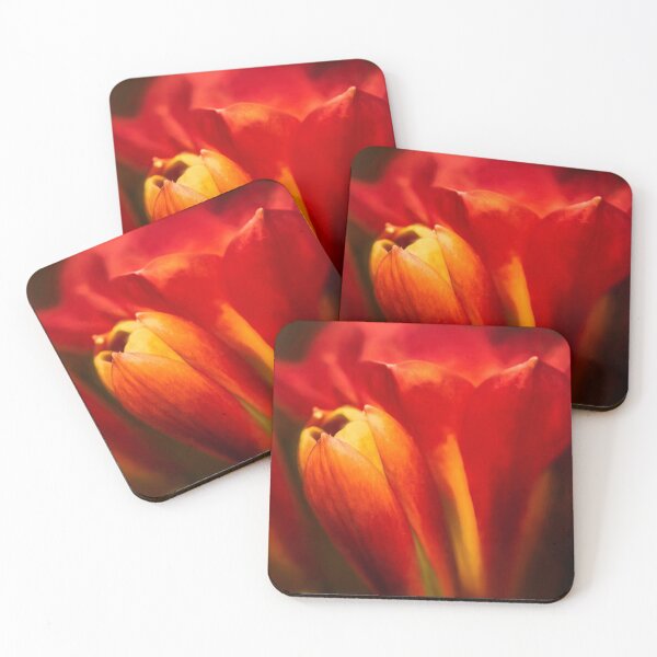 Item preview, Moody clivia designed and sold by Art in Nature.
