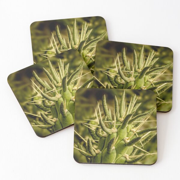 Item preview, Spiny cactus designed and sold by Art in Nature.