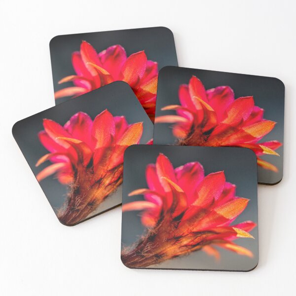 Item preview, Little cactus flower designed and sold by Art in Nature.