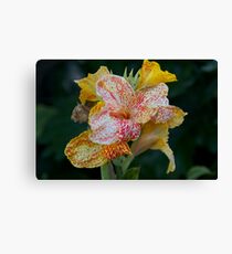 Yellow Bloom Canvas Print