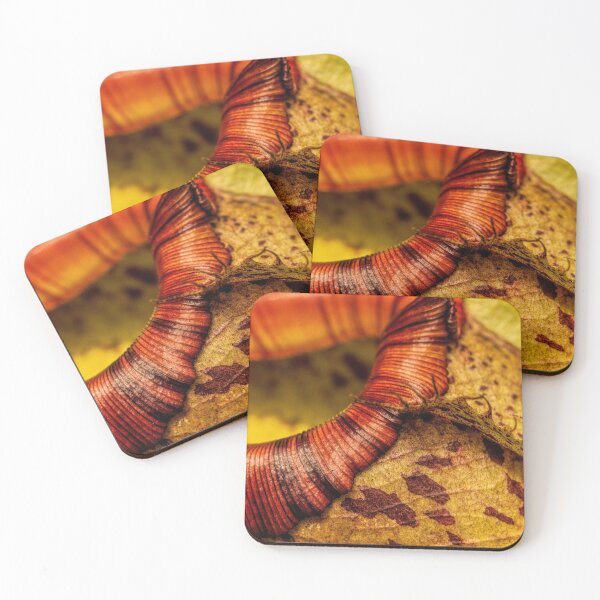 Item preview, Tropical pitcher plant closeup designed and sold by Art in Nature.