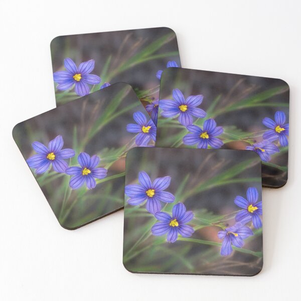 Item preview, Blue-eyed grass designed and sold by Art in Nature.