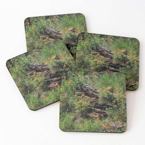 Item preview, California native garden designed and sold by Art in Nature.