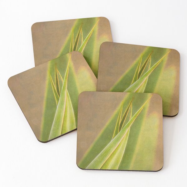 Item preview, Sharp aloe, soft aloe designed and sold by Art in Nature.