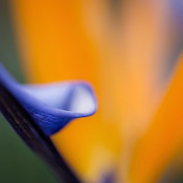 Artwork thumbnail, Invocation by Art in Nature