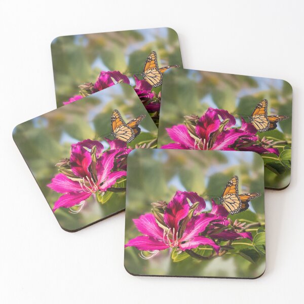Item preview, First monarch of 2015! designed and sold by Art in Nature.