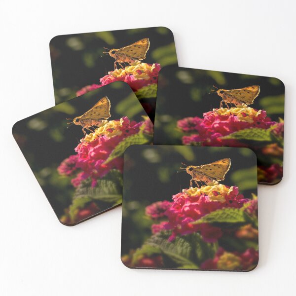 Item preview, Skipper in the spotlight designed and sold by Art in Nature.
