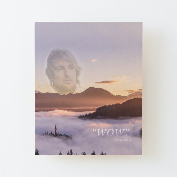 WOW - Owen Wilson Impression montée sur bois