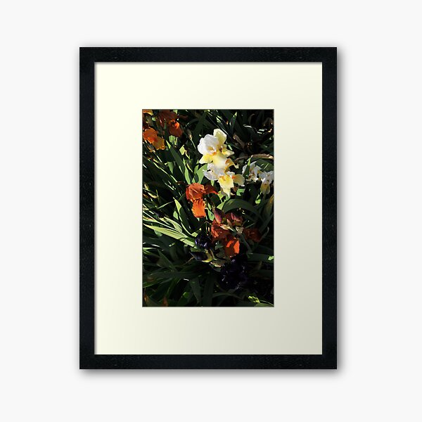 Auvers Iris H Framed Art Print