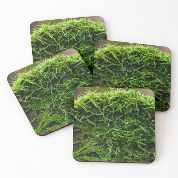 Item preview, Gathering Moss 4 designed and sold by photolodico.