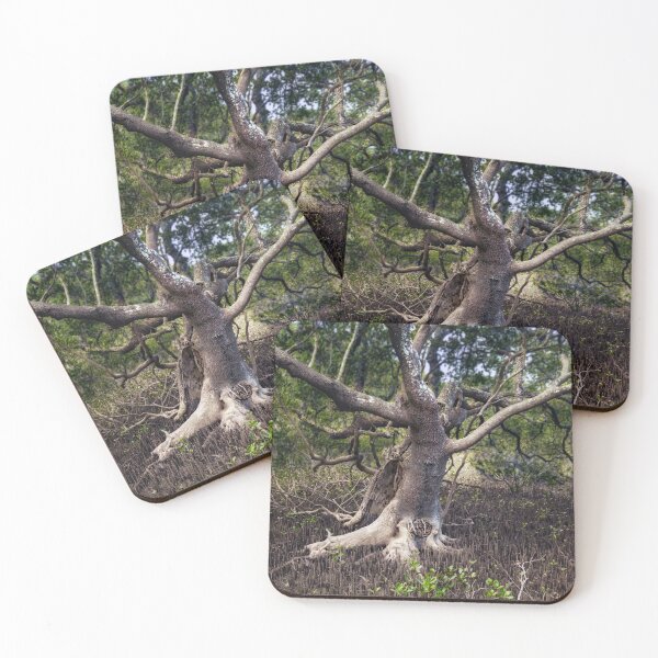 Item preview, The Mangrove Tree  designed and sold by Rainphotography.