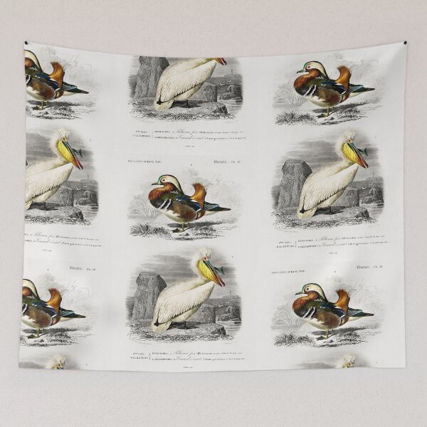 Item preview, Pelican and duck vintage illustration designed and sold by Vintage Designs +.