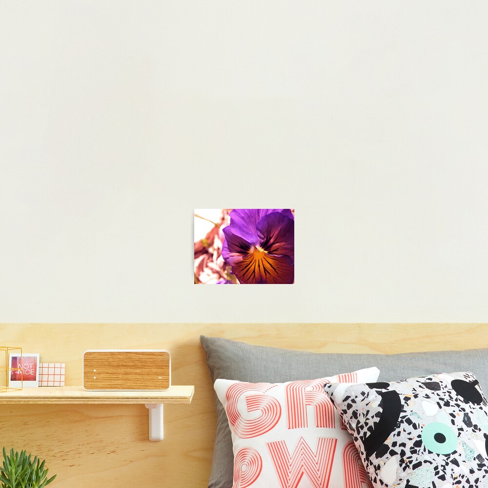 Item preview, Photographic Print designed and sold by njumer.