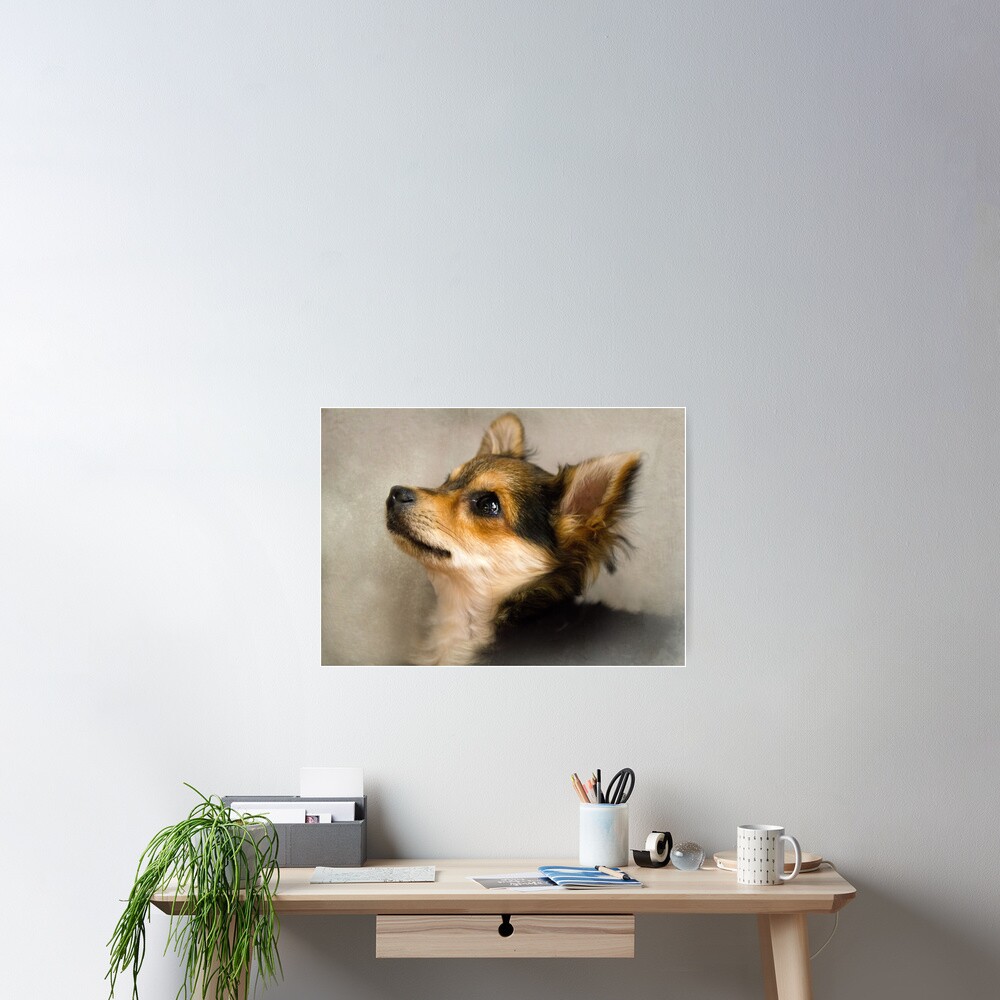 Item preview, Poster designed and sold by believer9.