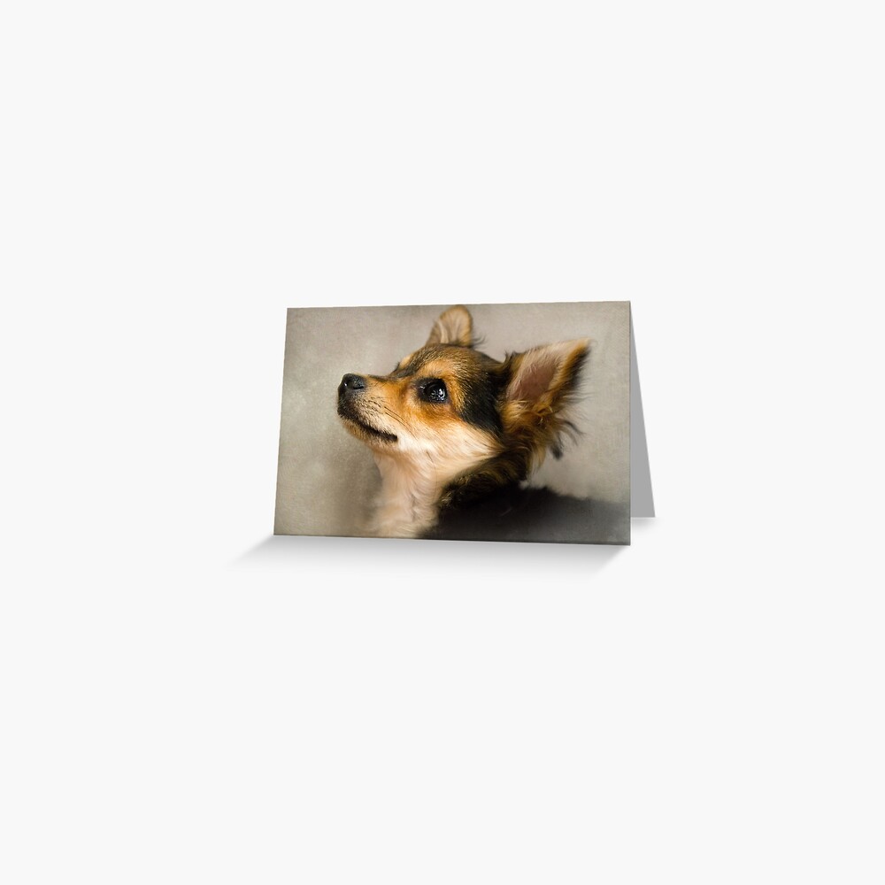 Item preview, Greeting Card designed and sold by believer9.