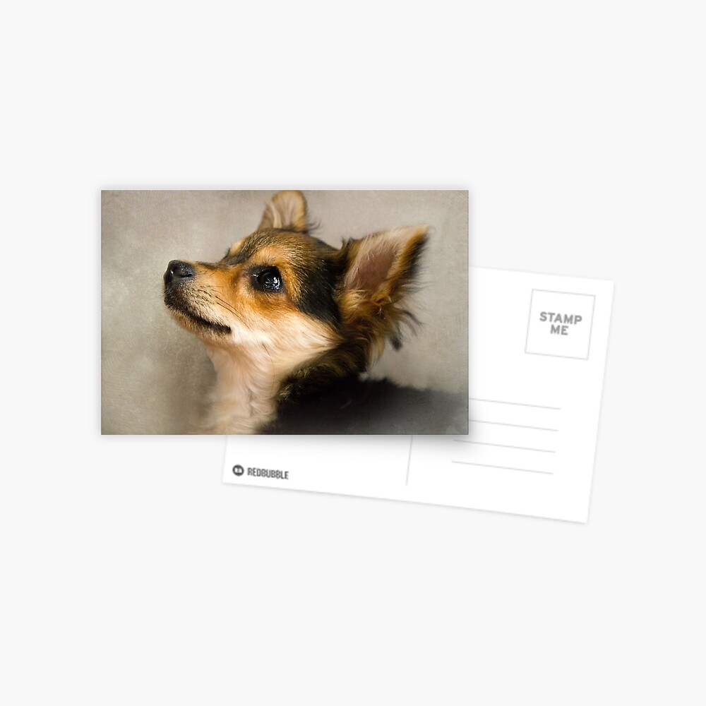 Item preview, Postcard designed and sold by believer9.