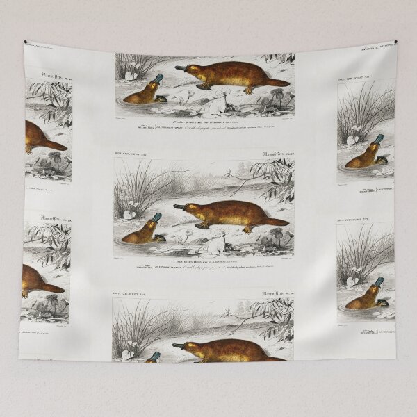 Artikelvorschau, Platypus vintage illustration entworfen und verkauft von Vintage Designs +.