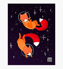 Space Foxes Photographic Print