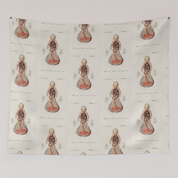Item preview,  Anatomy of a human baby vintage illustration  designed and sold by Vintage Designs +.