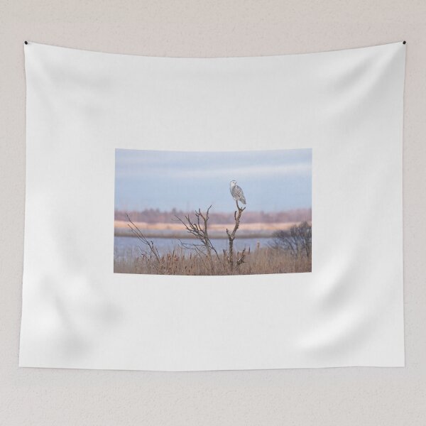 Item preview, Snowy owl designed and sold by James Cumming.