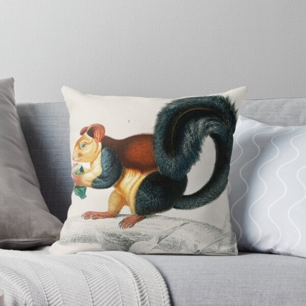 Item preview, Squirrel and hamster vintage illustration designed and sold by Vintage Designs +.