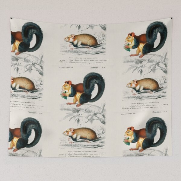 Artikelvorschau, Squirrel and hamster vintage illustration entworfen und verkauft von Vintage Designs +.