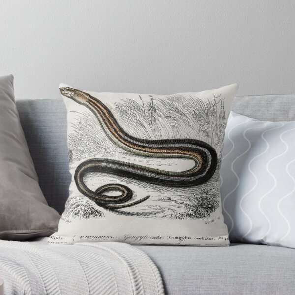 Item preview, Slow worm and lizard vintage illustration  designed and sold by Vintage Designs +.