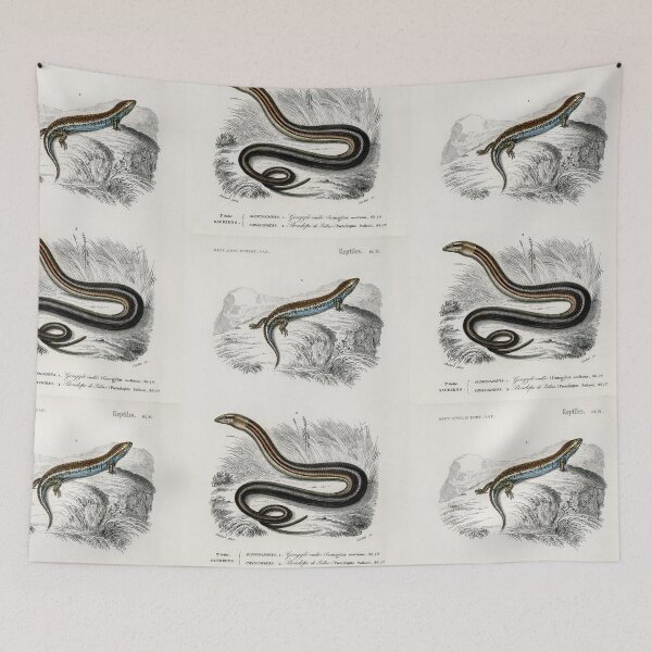 Item preview, Slow worm and lizard vintage illustration designed and sold by Vintage Designs +.