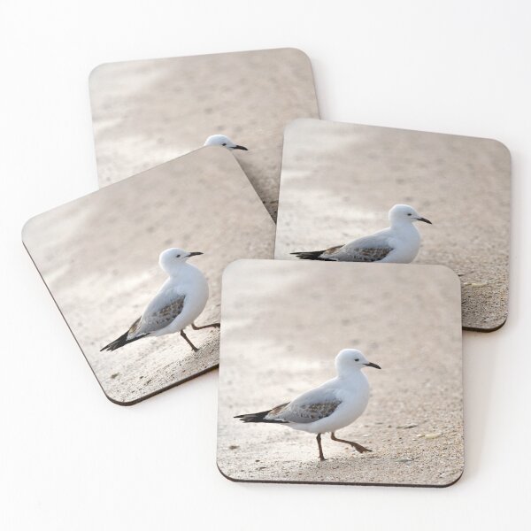 Item preview, Pretty Gull designed and sold by imaginethis.