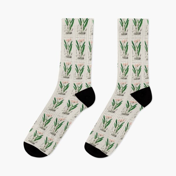 Item preview,  Botanical vintage illustration  designed and sold by Vintage Designs +.