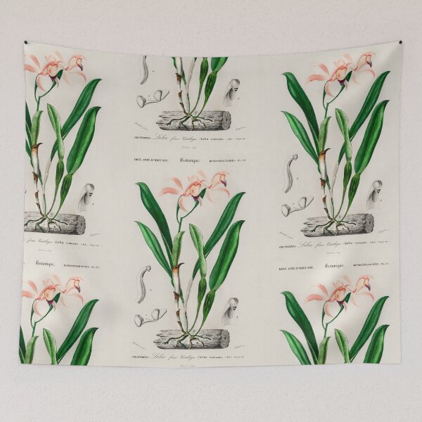 Artikelvorschau, Botanical vintage illustration entworfen und verkauft von Vintage Designs +.