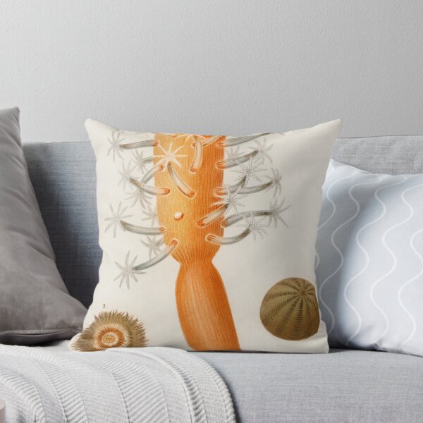 Item preview, Anemone coral Botanical vintage illustration designed and sold by Vintage Designs +.