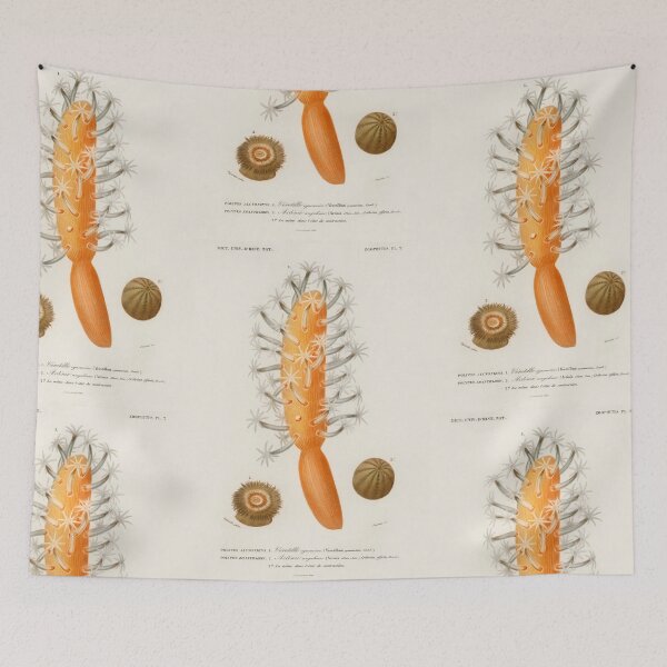 Item preview, Anemone coral Botanical vintage illustration  designed and sold by Vintage Designs +.
