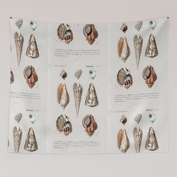 Item preview, Mollusks vintage illustration designed and sold by Vintage Designs +.