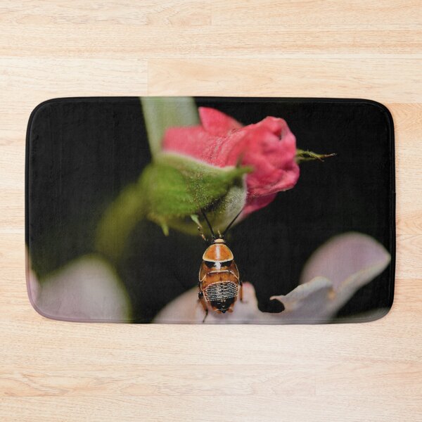 Item preview, Australian Native Cockroach in the Rose Garden designed and sold by imaginethis.