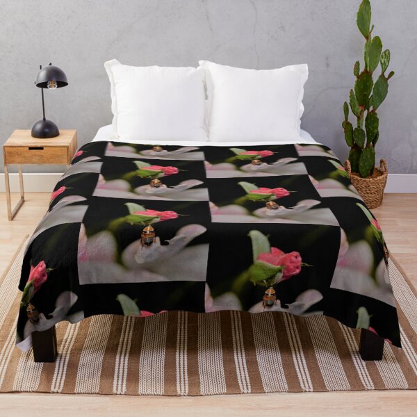 Item preview, Australian Native Cockroach in the Rose Garden designed and sold by imaginethis.