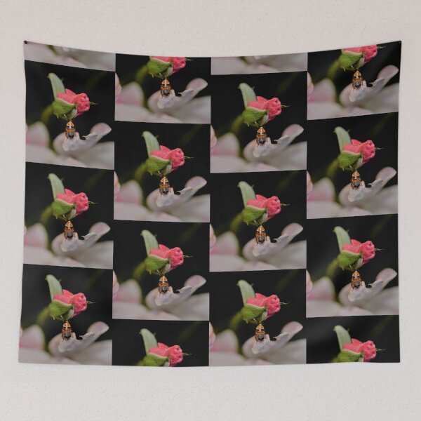 Item preview, Australian Native Cockroach in the Rose Garden designed and sold by imaginethis.