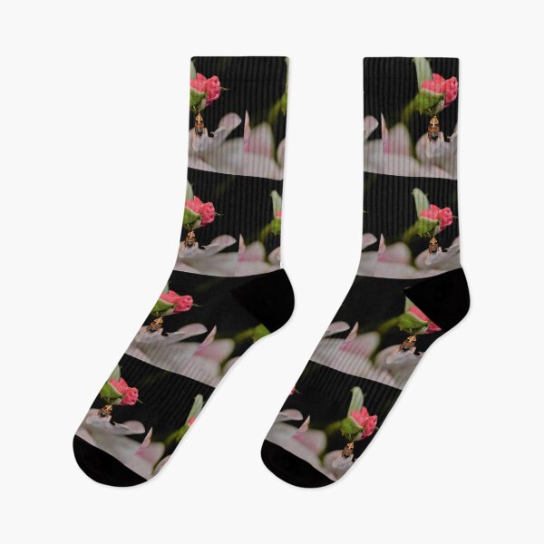 Item preview, Australian Native Cockroach in the Rose Garden designed and sold by imaginethis.