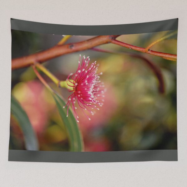 Item preview, Sun filtered Eucalyptus flower  designed and sold by imaginethis.