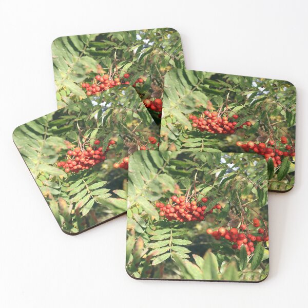 Item preview, Rowan Berries designed and sold by pinkal.