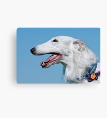 Russian Wolfhound Canvas Print