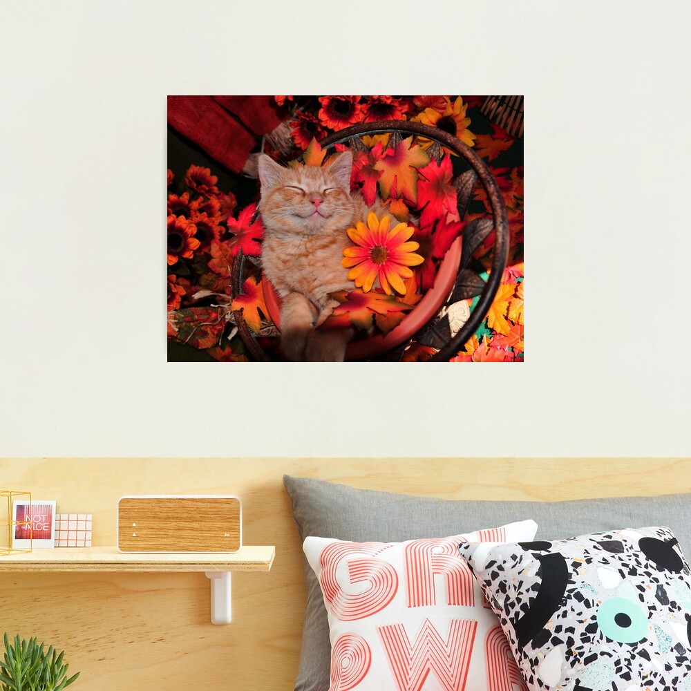 Mood Board Cats Tik Tok Writing Napping Sushi Coffee Reading Love Rest  Serenity Photography Drawing Painting Lifestyle Happy Place Canvas Print / Canvas  Art by Nathalie Aynie - Fine Art America