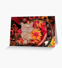 Good Morning Smile ~ Cute Kitty Cat Kitten in Fall Colors taking a Nap Greeting Card
