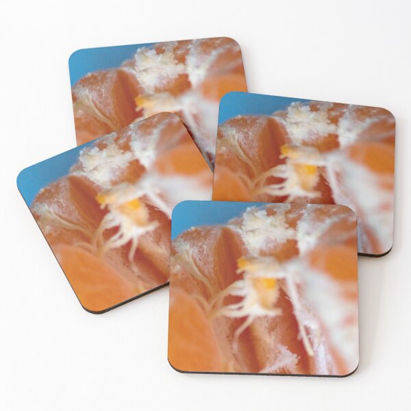 Item preview, Segment designed and sold by Louise  Corr.