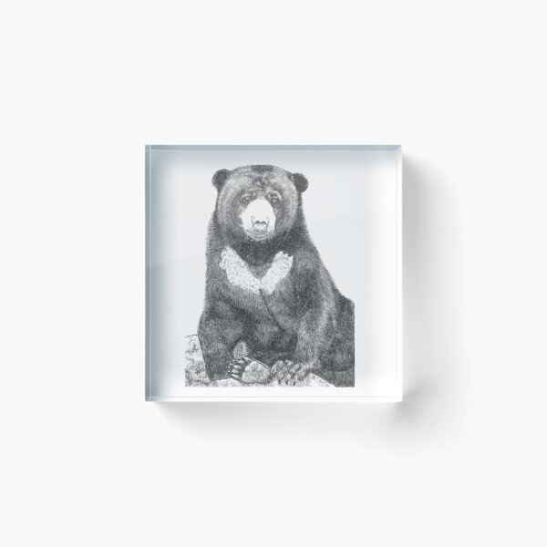 Item preview, Malayan Sun Bear designed and sold by Nasir Nadzir.