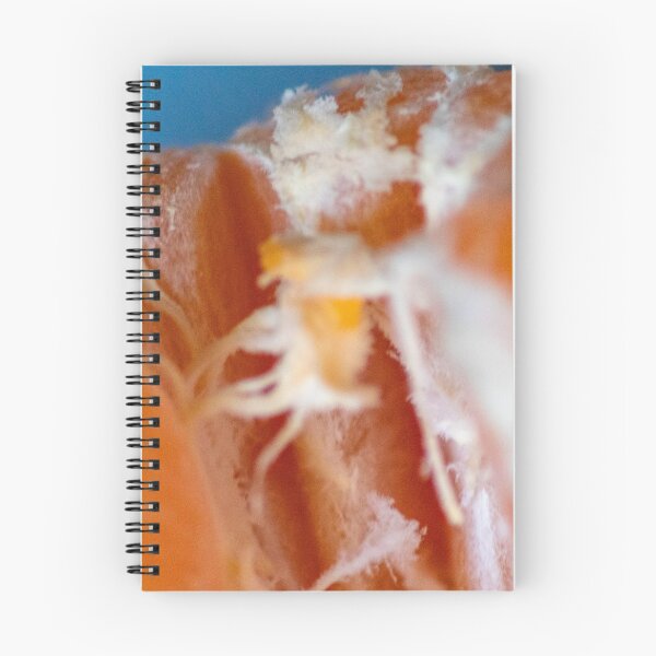 Item preview, Segment designed and sold by Louise  Corr.