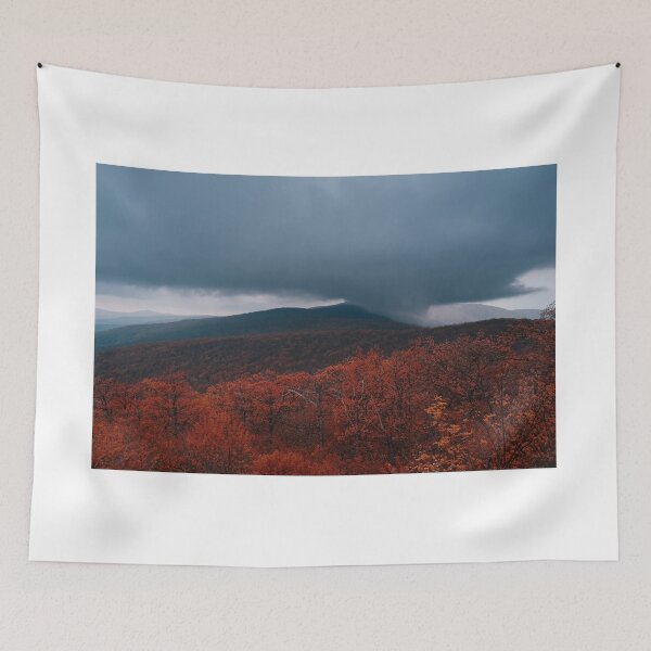 Item preview, "When Autumn Rolls In 2" designed and sold by RCNaturephotos.